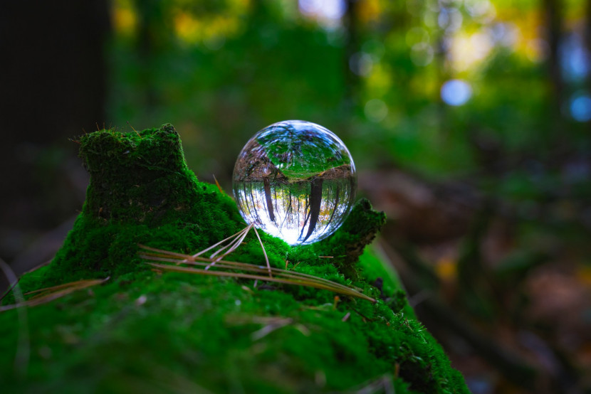 Modint Ecodesign training | 13 October, 17 November, 7 December 2026.