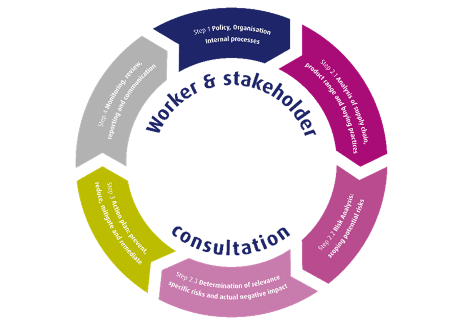 Due Diligence Processtappen (AGT)